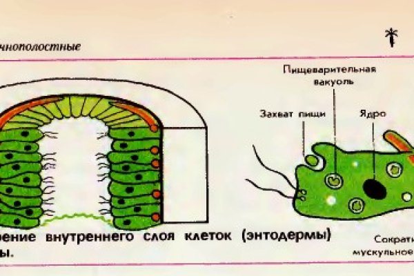 Кракен как зайти через тор браузер