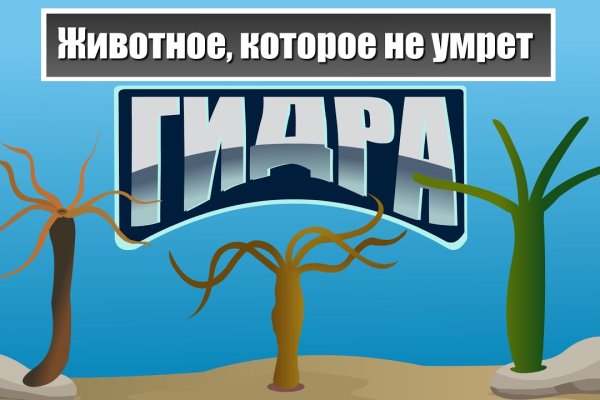 Кракен маркет что это такое