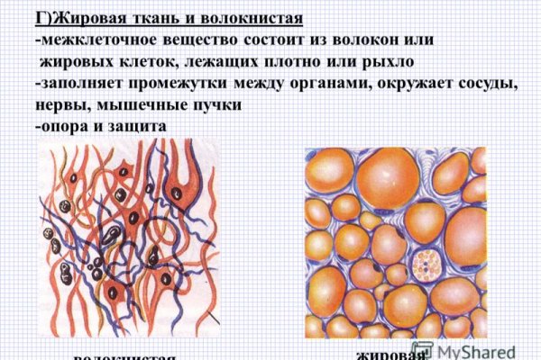 Кракен зеркало рабочее на сегодня krakenat2krnkrnk com